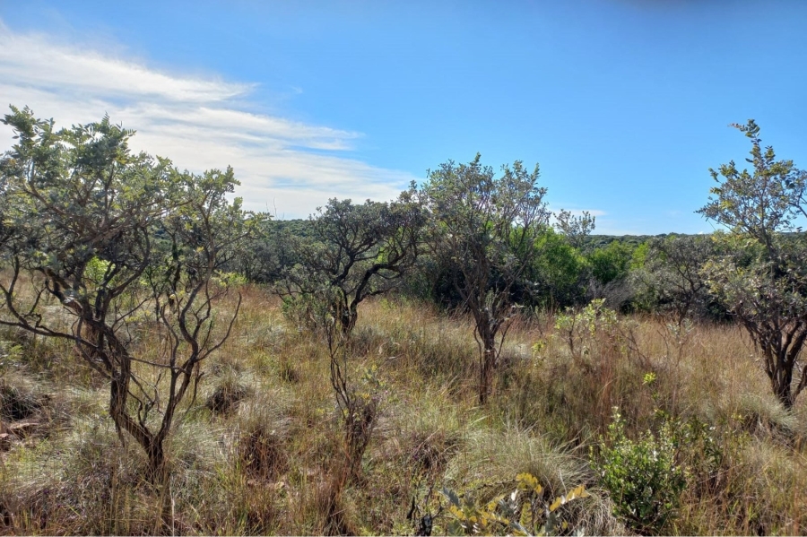 0 Bedroom Property for Sale in Koster North West